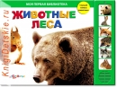 Животные леса - Книга для детей 2 - 5 лет