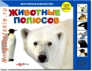 Животные полюсов - Книга для детей 2 - 5 лет