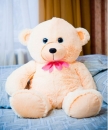 Медведь «Тедди»